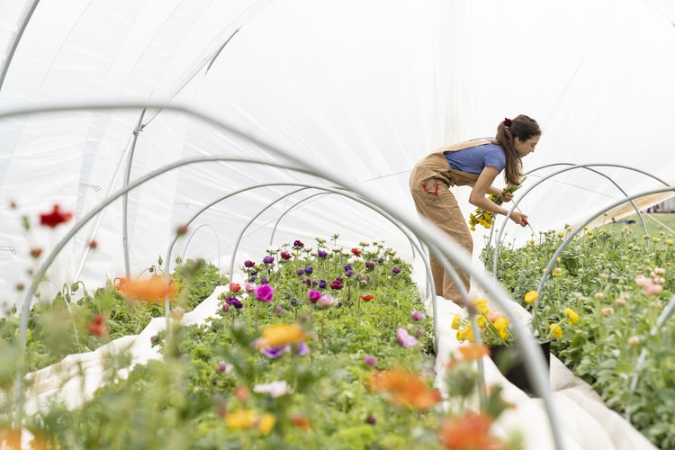 Farm grants for female agriculture majors