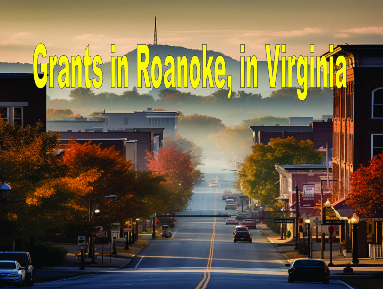 Grants In Roanoke, In Virginia