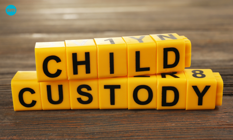 types of custody