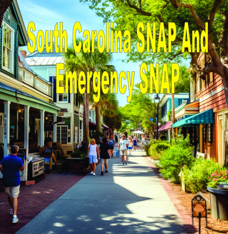 South Carolina Snap And Emergency Snap