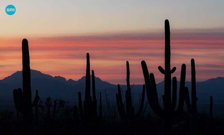 Arizona College Grants For Female Students