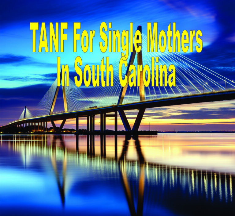 Tanf For Single Mothers In South Carolina