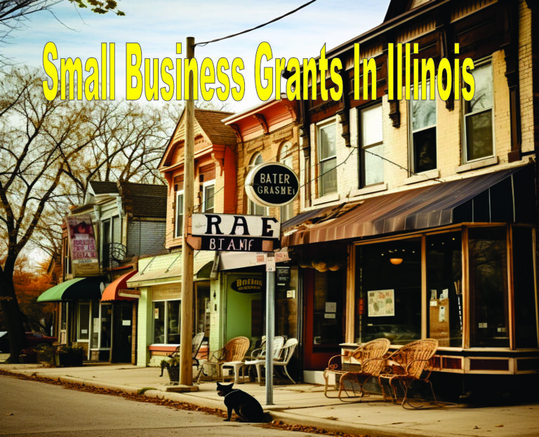 Small Business Grants In Illinois