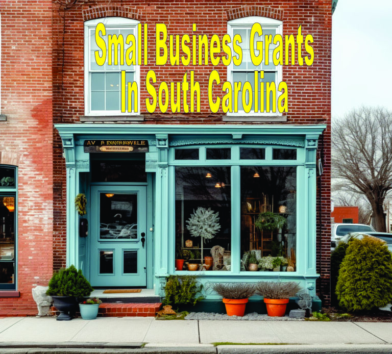 Small Business Grants In South Carolina