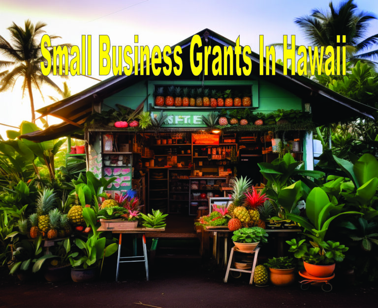 Small Business Grants In Hawaii